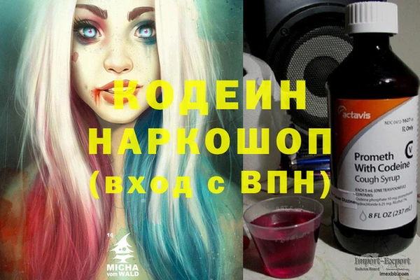 бошки Бородино