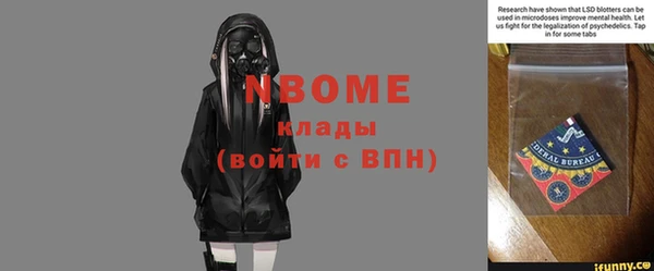 бошки Бородино