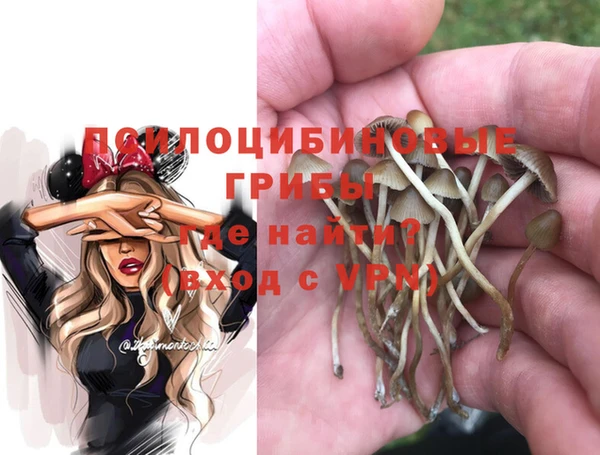 ГАЛЛЮЦИНОГЕННЫЕ ГРИБЫ Бронницы
