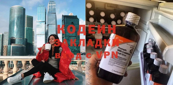 бошки Бородино