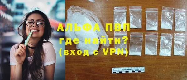 бошки Бородино