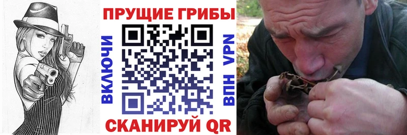 Галлюциногенные грибы Psilocybine cubensis  ссылка на мегу вход  Сосногорск  как найти  